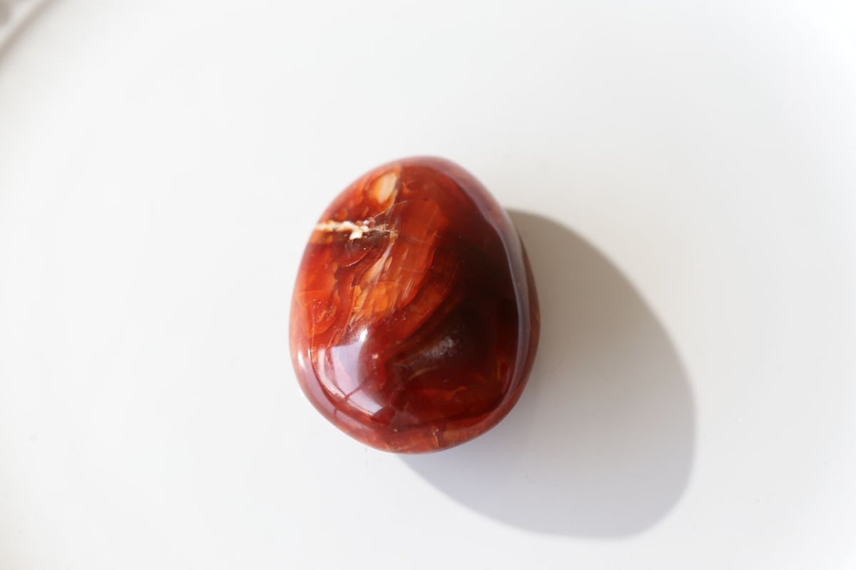 実現】カーネリアン 握り石 | Y.S.Y24