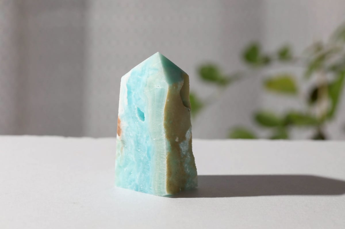 挑戦の扉】カリビアンカルサイト タワー | Y.S.Y24