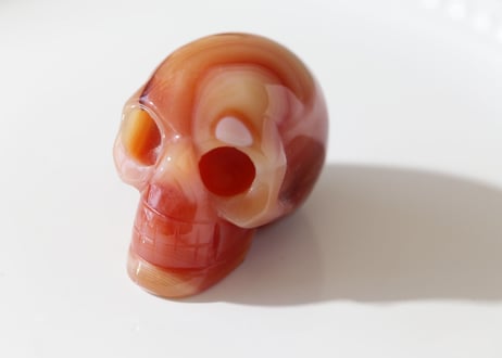 【魔法使いの弟子】カーネリアン スカル