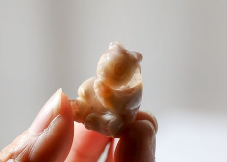 【あなたのための癒やし】チェリーブロッサムアゲート パンダ