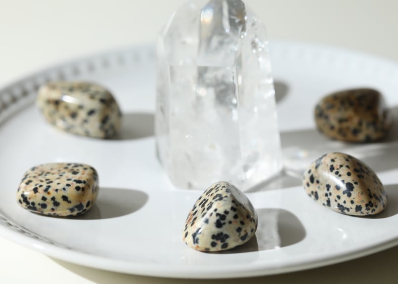 オシャレしたい気分】ダルメシアンジャスパー タンブル (6個セット