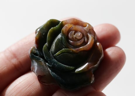 【ベルサイユ】オーシャンジャスパーの花