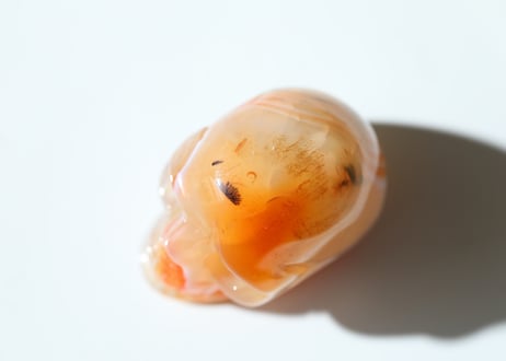 【陰陽統合】サードニクス スカル