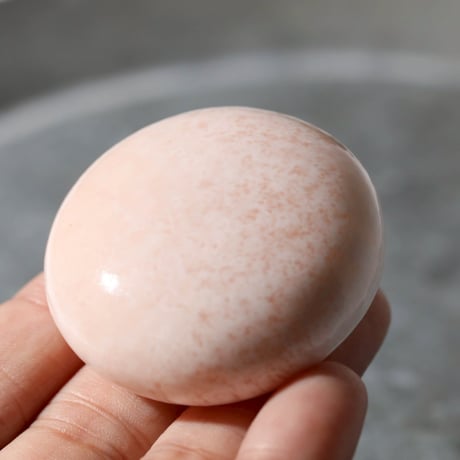 スコレサイト | STORES