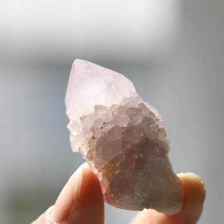 STORES アメジストの検索結果