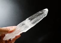 エドワード淺井さんによる技入り❣️【空間浄化/空間に結界をはる】レムリアンルーツワンド ※イベントクーポン使用不可