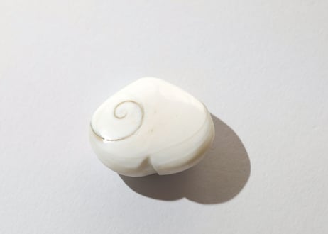 大技封入❣️【虚空蔵菩薩から智慧を授かる】オペルキュラムシェル ハート ※イベントクーポン使用不可