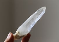 【レムリアの平和】ホワイトガーデンレムリアンシード