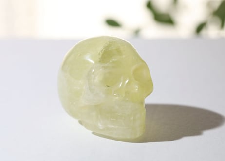 CATEGORY 石の形で選ぶ スカル | Y.S.Y24