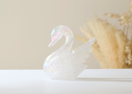 CATEGORY 効果で選ぶ 健康 | Y.S.Y24