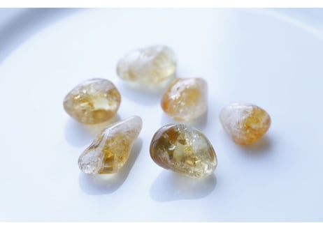 CATEGORY 特別セット商品 | Y.S.Y24