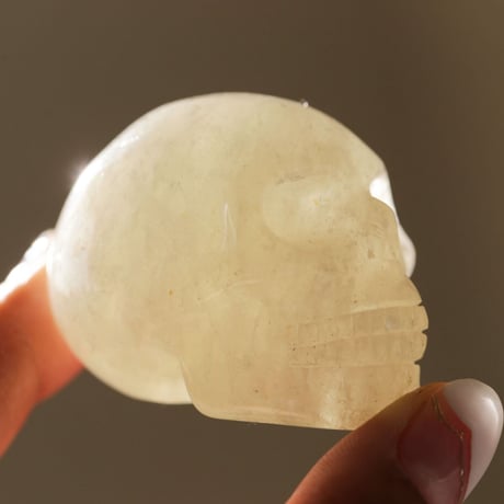 STORES アメジストの検索結果