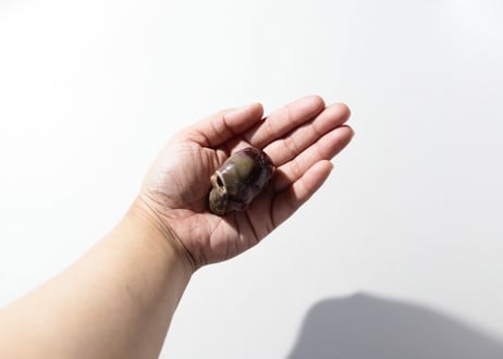 【幻のスカル】ムーカイトジャスパー スカル