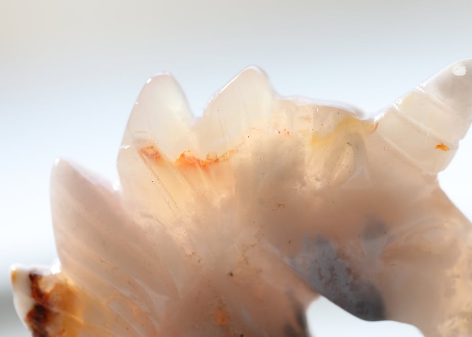 660e6aa22dae180031d19aea