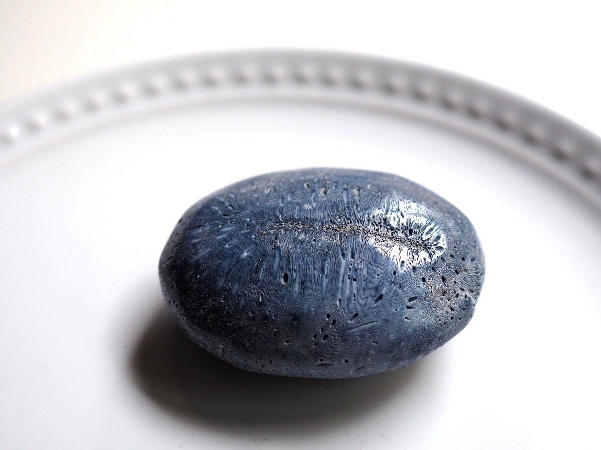 生きる力】ブルーフォッシルコーラルの握り石 | Y.S.Y24