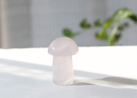 大技封入❣️【奇跡が起こる】フローライト きのこ ※イベントクーポン使用不可