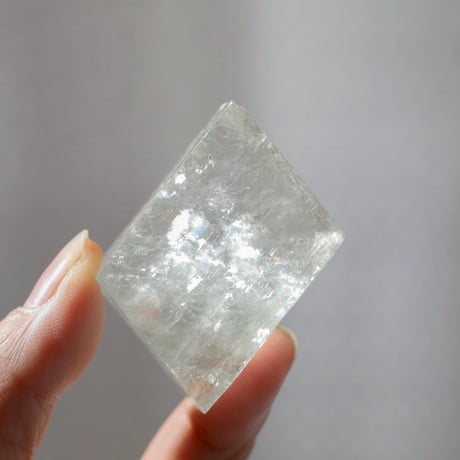 ゴールデンカルサイト | STORES