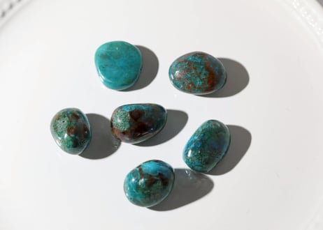 CATEGORY 特別セット商品 | Y.S.Y24