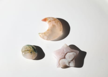 【草花のような人】だいすきチェリーブロッサムセット