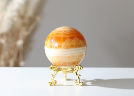 CATEGORY 特別セット商品 | Y.S.Y24