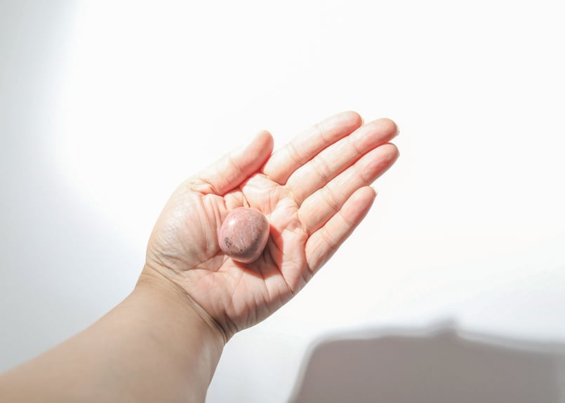 成長を見守る】ピンクペトリファイドウッド タンブル | Y.S.Y24