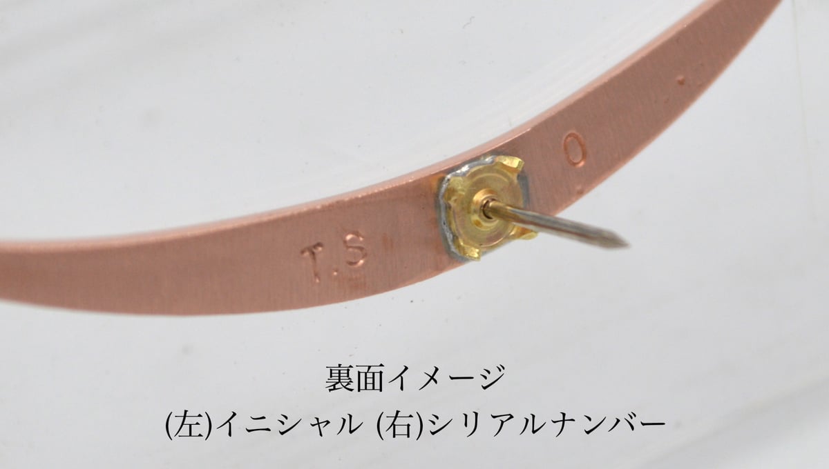 ◇大変希少！美品 昭和3年◇楕円型 『立命館 禁衛隊』 徽章 素銅（す