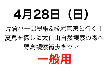 伊達武将隊公式オンラインショップ