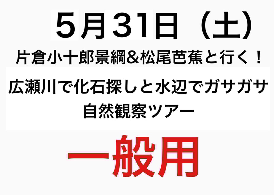 67ea2198ef730a3283ebf713