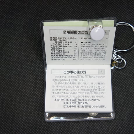 【在庫処分】ミニ恐竜図鑑キーホルダー　ミニタオル1枚付