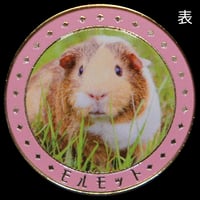 動物メダル　モルモットver.　ゴールド色