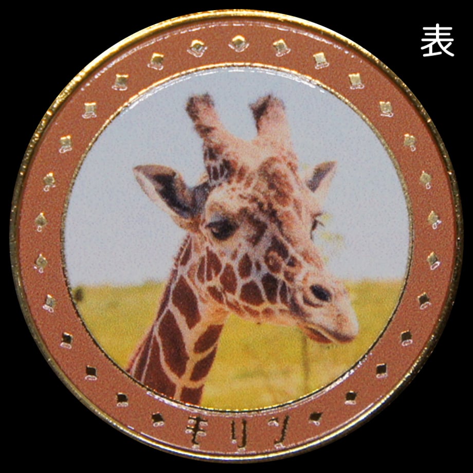 67cfd661e04d45005ca1c1bb