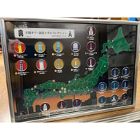 送料無料【受注生産商品】タワー専用記念メダルコレクション額Ver.1.2（A3サイズ）