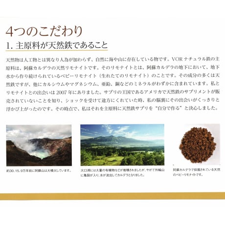 天然鉄VOR 120粒
