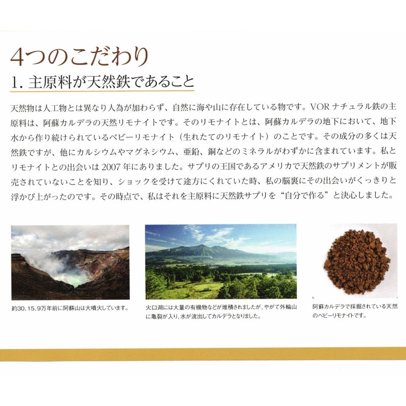 天然鉄VOR 120粒 | 自然食品たんぽぽ