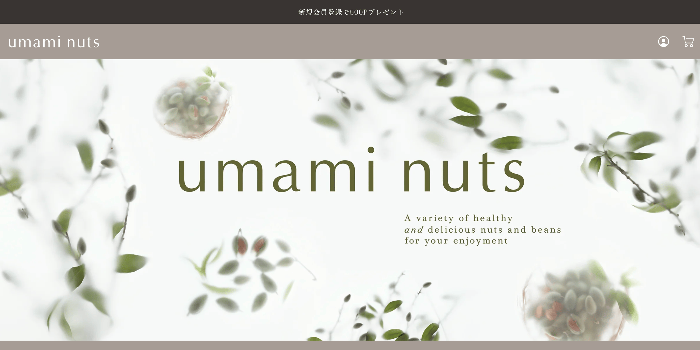サイトリニューアルのお知らせ