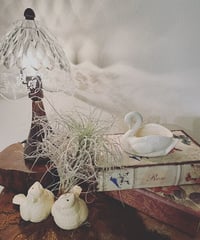 Vintage SWAN（M）