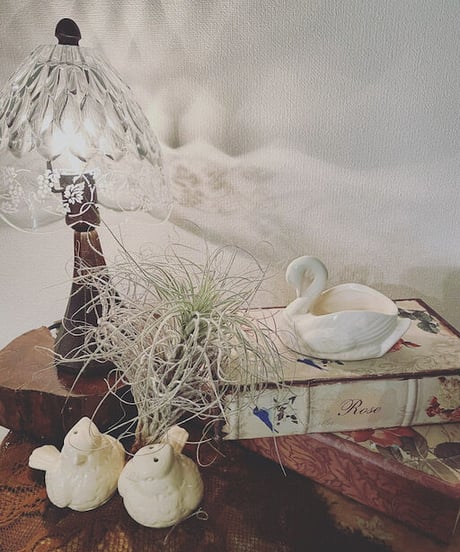 Vintage SWAN（M）