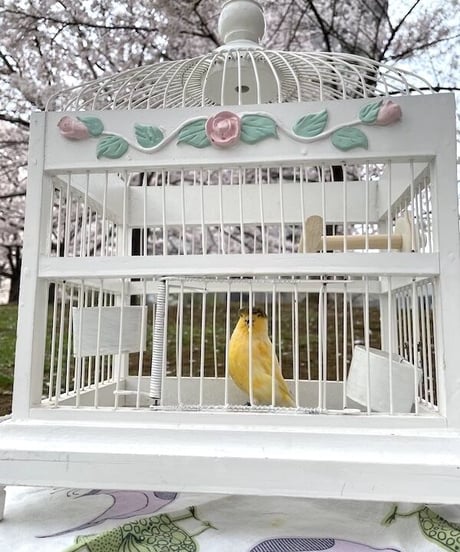 おかしのおうちみたいなとりかご
