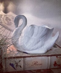 Vintage SWAN（L）
