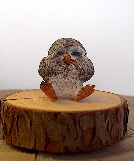 泣き虫フクロウ