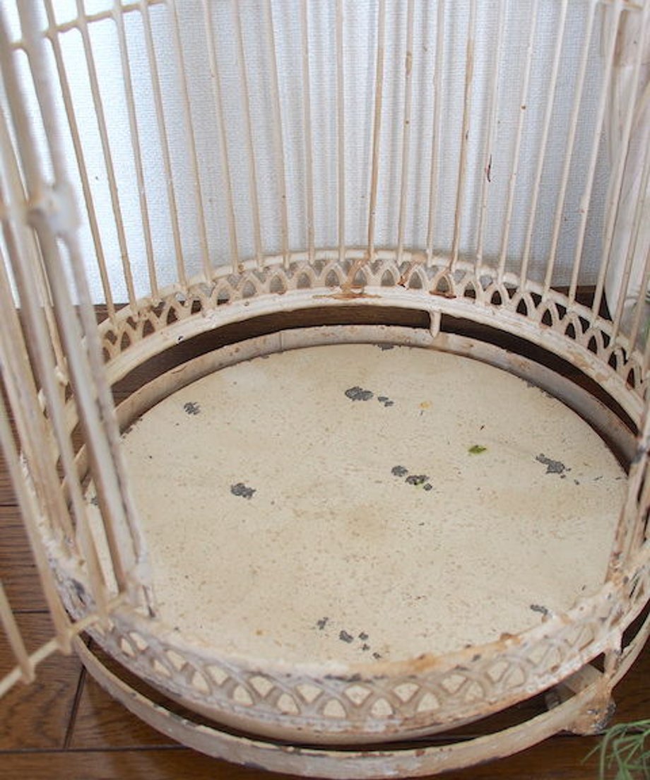5f38da6d223ead10cb8af576