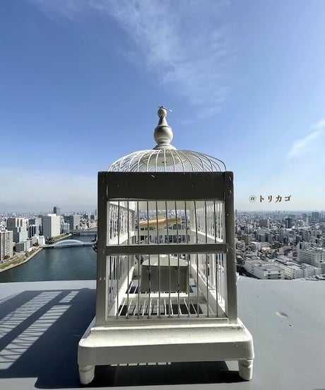 おかしのおうちみたいなとりかご