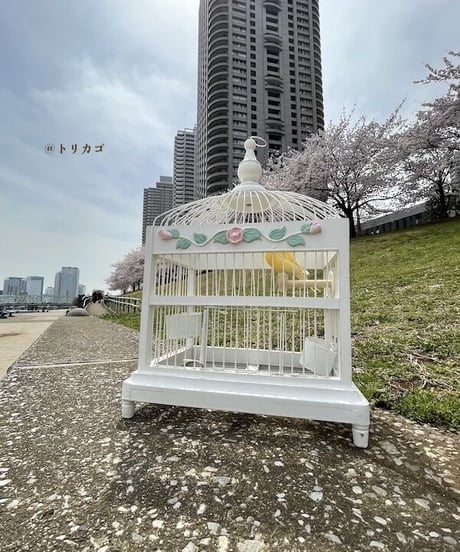 おかしのおうちみたいなとりかご