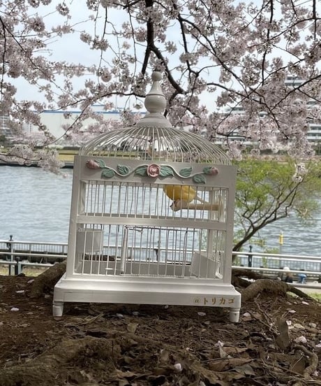 おかしのおうちみたいなとりかご