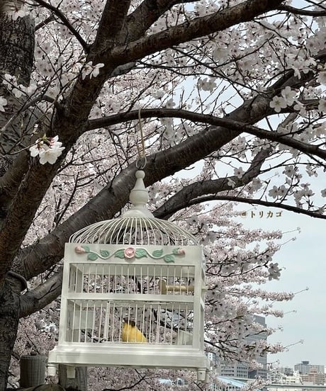 おかしのおうちみたいなとりかご