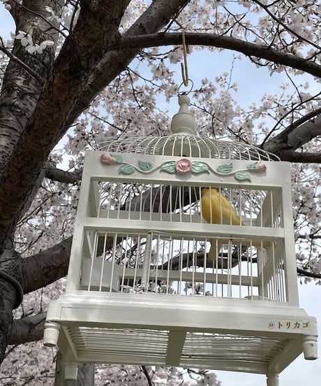 おかしのおうちみたいなとりかご