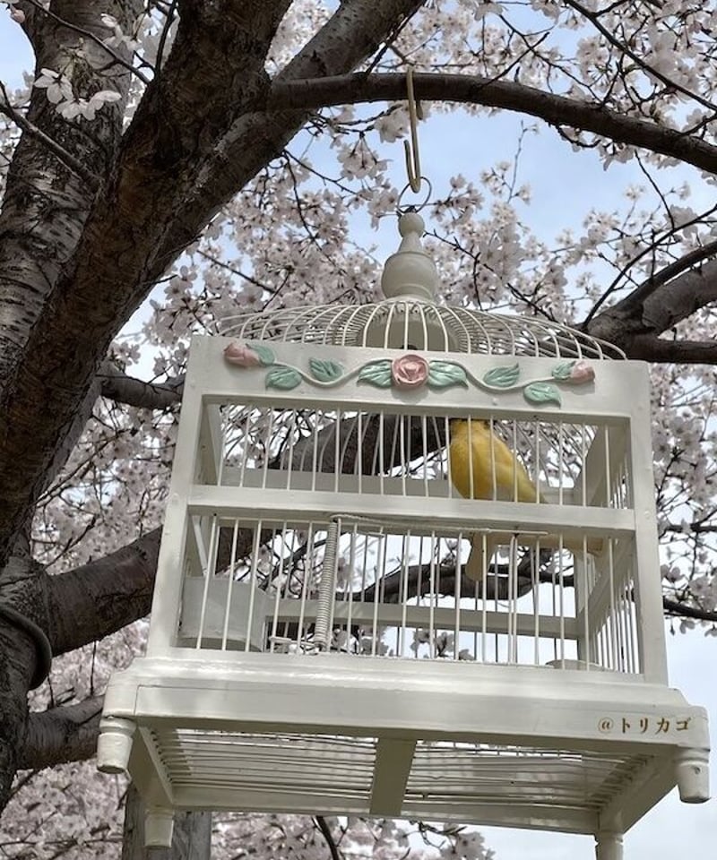 おかしのおうちみたいなとりかご | トリカゴ おかしのおうちみたいなとりかご | トリカゴ