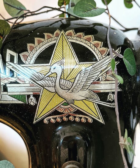 STAR BIRD