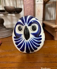 メキシコふくろう