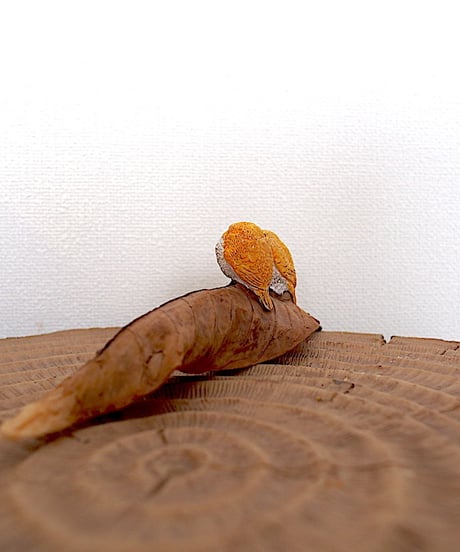 2羽の小鳥